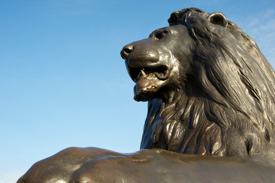 Heroic close-up of Trafalgar Square lion with a summer city skyline in London, UK, installed in 1867