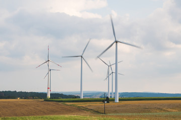 wind turbines in the field