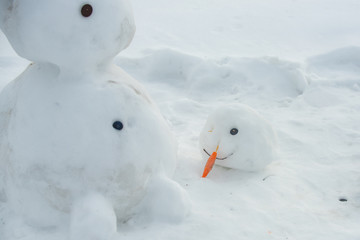 Melted snowman in puddle. Bad warm rainy winter weather. Snowman in our yard. Is my first snowman....