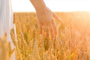 harvesting, nature, agriculture and prosperity concept - young woman on cereal field touching ripe...