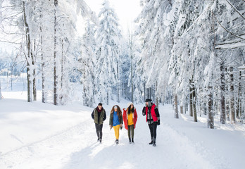 A group of young friends on a walk outdoors in snow in winter forest.