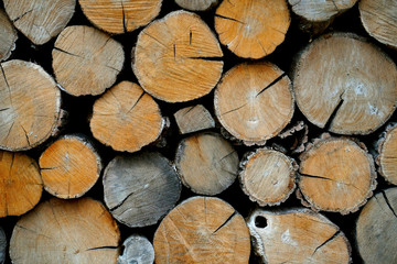 Eco rural lifestyle background with oak cut logs texture