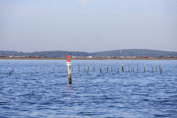 Le bassin d'Arcachon
