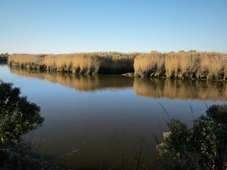 Bassin d'Arcachon