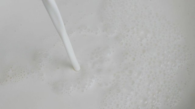 Pouring Fresh milk, moving water on white background, Closeup Front view Food concept.