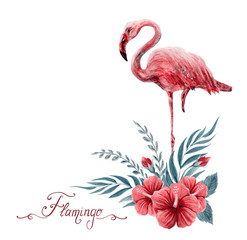 Hand drawn watercolor painting with flamingo and Chinese Hibiscus rose flowers isolated on white background.