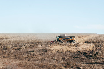 Obraz premium yellow combine in the field of buckwheat over bright cloudy blue sky