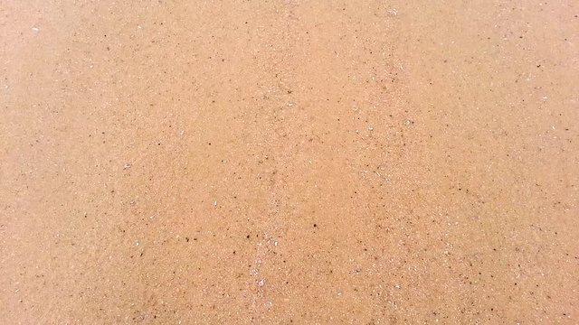 Details of the waves, foam, sands and natural textures. Crystalline waters. Itacoatiara beach, Niteroi, Rio de Janeiro, Brazil.