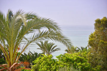 Fototapeta na wymiar Beautiful Tropical beach in sunny day. Uninhabited island. Landscape of a tropical island and rocky mountains