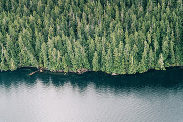 Scenic flight above Tofino Harbour, Vancouver Island. British Columbia, Canada © ronnybas