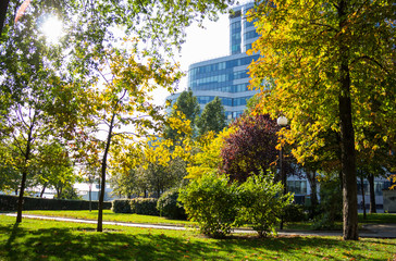 Naklejka premium Rostov-on-Don, Russia. Autumn Park. Autumn in Russia.