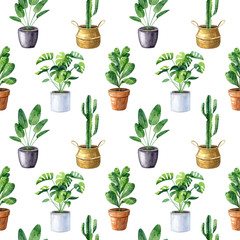 Watercolor seamless pattern with home plants in clay pots and straw basket. Monstera, ficus, cactus, sansevieria. Texture for fabrics, wallpapers,  wrapping paper.