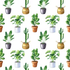 Acrylic prints Plants in pots Watercolor seamless pattern with home plants in clay pots and straw basket. Monstera, ficus, cactus, sansevieria. Texture for fabrics, wallpapers,  wrapping paper.