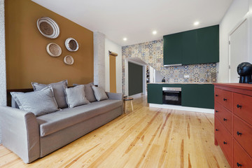 modern European apartment Living room Interior design