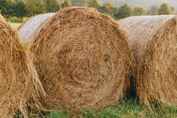 Haystack harvest field landscape. Haystack agriculture field landscape. Agriculture field haystacks. Photo landscape haystack rolls in the field