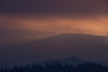 Fototapeta premium Frozen winter fairy-tale landscape.