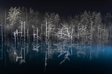 夜の青い池