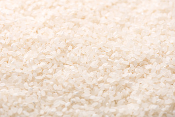Raw white polished milled edible rice crop on white background in brown bowl, organic agriculture design concept. Staple food of Asia, close up.