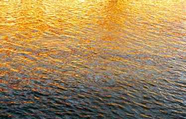 Sea of light with the surface of the water is a beautiful pattern appropriate the background , idea copy space