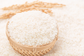 Fototapeta na wymiar Raw white polished milled edible rice crop on white background in brown bowl, organic agriculture design concept. Staple food of Asia, close up.