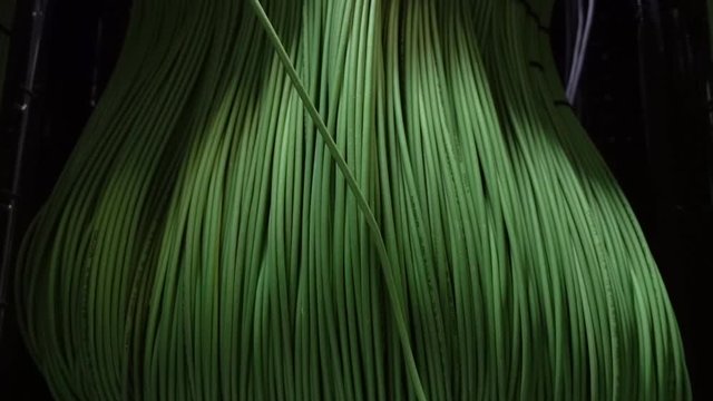 Audio concept. Transmission lines in telecommunication room. Coaxial cable plugged into interface port of equipment