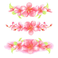 Clip art with pink cherry blossom, and leaves on a white  background. Hand painted in watercolor.
