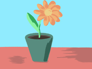 flower in pot