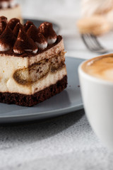 Tiramisu - Classical dessert with mascarpone and coffee. Delicious Tiramisu cake on a darck plate on a light marble background. Vertical photo.