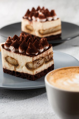 Tiramisu - Classical dessert with mascarpone and coffee. Delicious Tiramisu cake on a darck plate on a light marble background. Vertical photo.