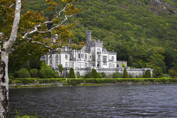 Fototapeta premium Burg am See mit Wald in Irland