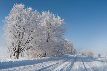  view of a snowy road with trees. Winter landscape Christmas mood