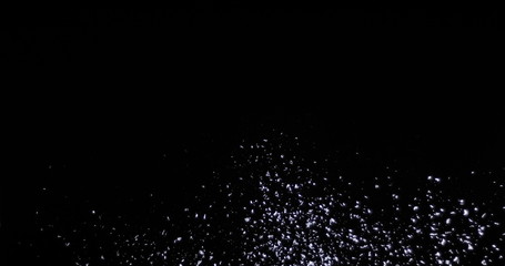 Falling real snowflakes, heavy snow, shot on a black background, frosted, wide-angle, insulated, ideal for digital composition, post-production