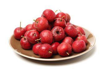 Hawthorn on a white background 