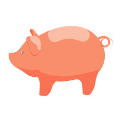 Cute pig cartoon
