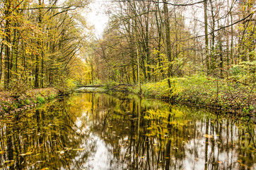 Forest in predominantly yellow and green hues reflecting in the still waters of a staight canal