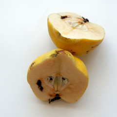 Big organic quince and quince sliced with worm on a white background