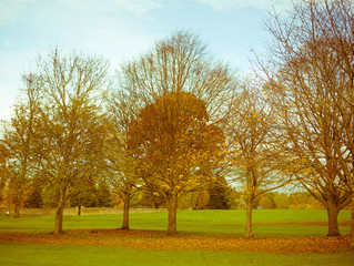 Vintage autumn landscape in Scotland - colourful trees, grass, forest, blue sky