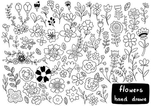 0034 hand drawn flowers doodle Ornaments background pattern Vector illustration