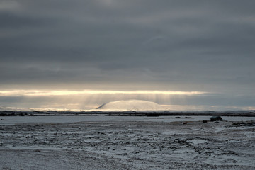 winter landscape with snow