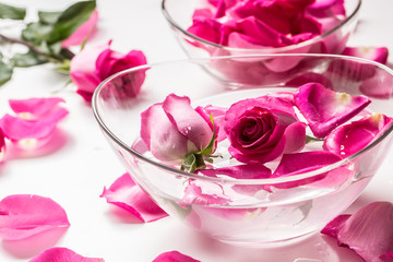 Pink roses and petals in bowl with pure water. Spa and wellness concept