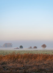 Dutch farm in the early morning mist in autumn_1