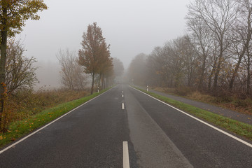 Fototapeta premium Droga wiejska, ruch we mgle, ruch samochodowy jesienią, samochody, samochody, mgła