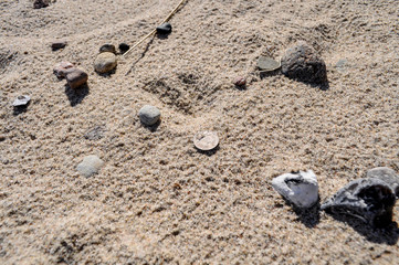 DDR Münzen auf Rügen