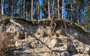 Gelbes Ufer, Insel Rügen