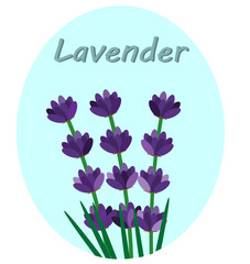 lavender flowers with the inscription