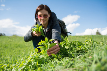 Female hiker picking mint outdoor