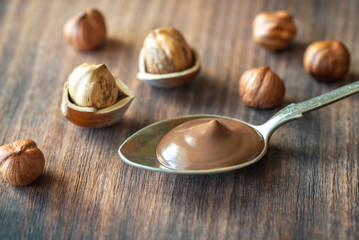Fototapeta na wymiar Spoon of chocolate paste with hazelnuts