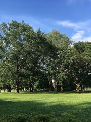 park