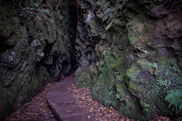 Tunnel on Levada Do Furado, PR10, from Ribeiro Frio Madeira, Portugal, Europe