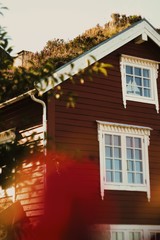 Processed with VSCO with fr4 preset